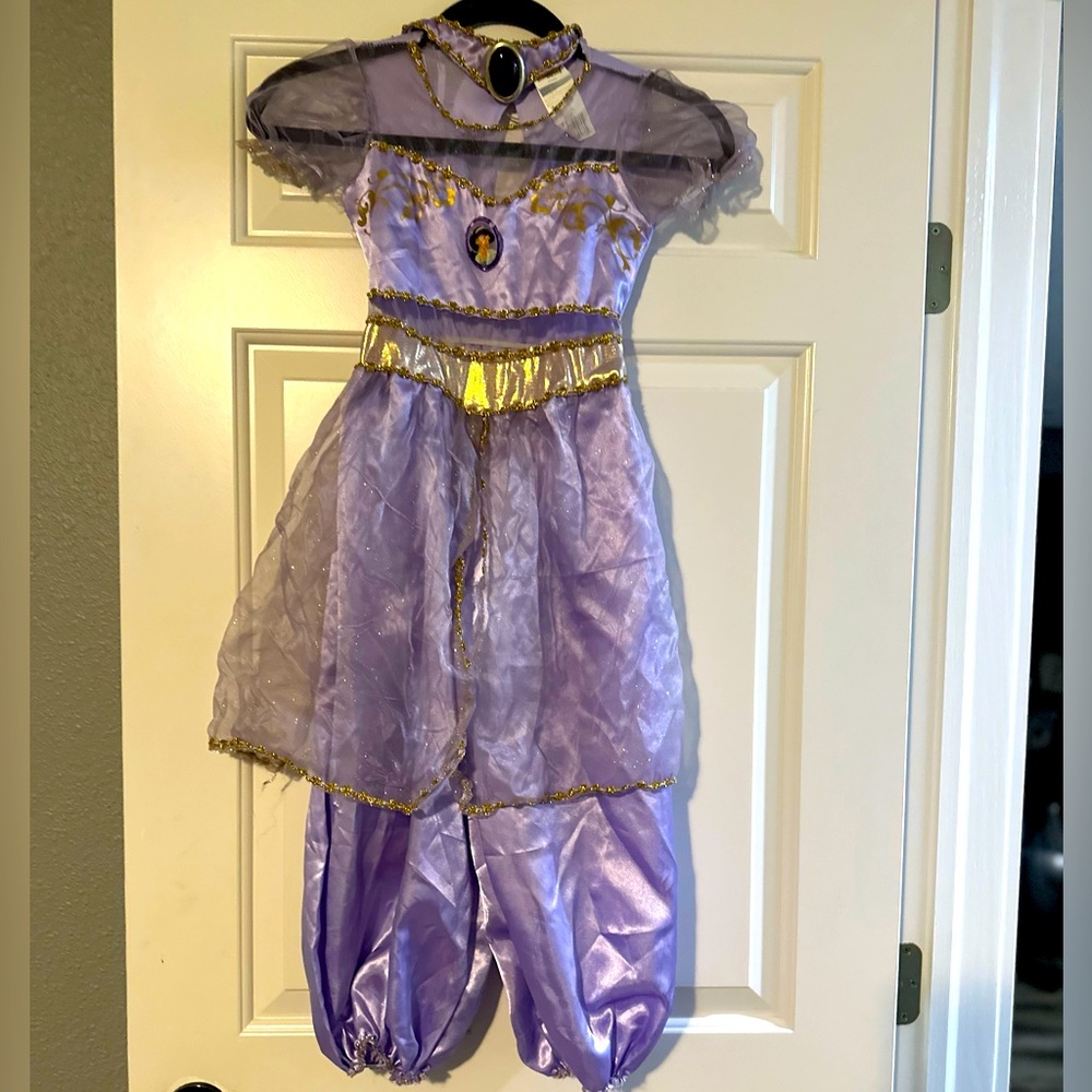 Disney Jasmine Costume